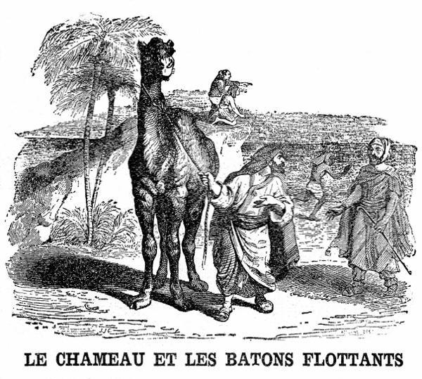 Le Chameau et les Batons Flottants