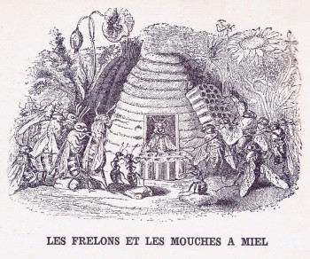 La Fontaine - Les Frelons et les Mouches à Miel