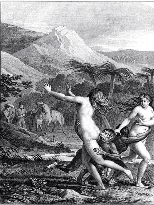Candide - deux singes les suivaient en leur mordant les fesses