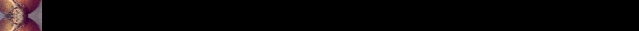 leftback246.jpg