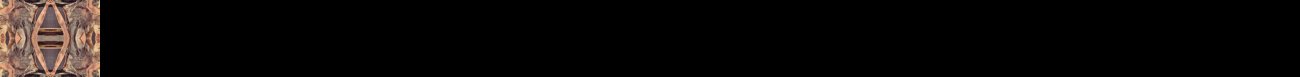 leftback250.jpg