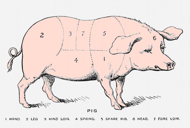 Parts of the pig