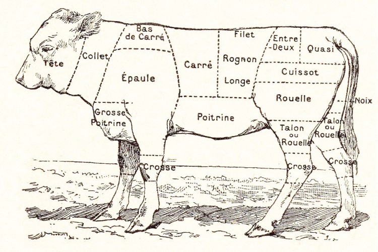 Le Veau - Dictionnaire Belair