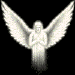 angels_0298.gif