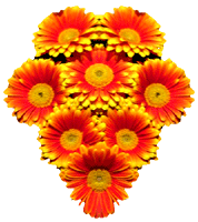 flowers030.gif