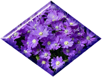 flowers173.gif